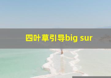 四叶草引导big sur